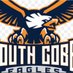 South Cobb Jr Eagles (@scjreagles) Twitter profile photo