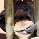 Sutton Jean - @sutton_jean - Twitter