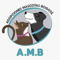 Adopcionesmascotasbogota (@adopcionesmbog) 's Twitter Profile