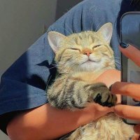 crypto para (@cryptoparraa) Twitter profile photo