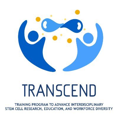 TRANSCEND aims to train and increase the number and diversity of highly qualified PhD and postdoctoral level scientists in stem cell biology.