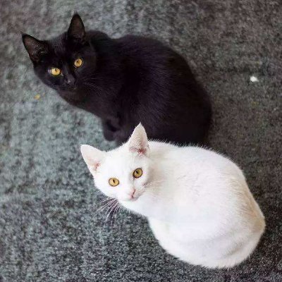 Sebasti1391's profile picture. 