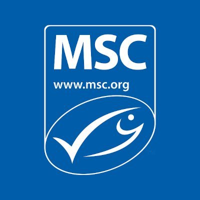 MSC Latinoamérica