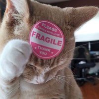 ... (@espairecidaa) 's Twitter Profile