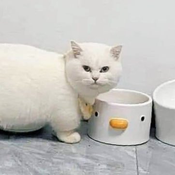 Olenyaaaa's profile picture. самовывоз, блять, не заказывали?