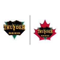 Thunder Seed (@thunder_seed) 's Twitter Profile