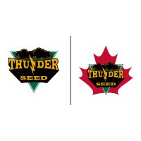 Thunder Seed(@thunder_seed) 's Twitter Profileg