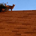 Stephany Baker - @Okieoutlawdrum - Twitter