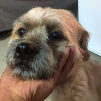 guddist00's profile picture. 