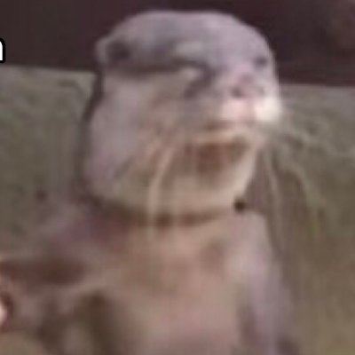 H32OupXazvOPipr's profile picture. k