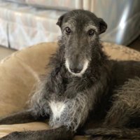 Cynthia Crysdale 🇨🇦 (@cynicked) 's Twitter Profile Photo Cynthia Crysdale 🇨🇦 (@cynicked) 's Twitter Profile Photo