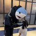 ドラクロちゃん 消費税廃止 (@highballdog) Twitter profile photo ドラクロちゃん 消費税廃止 (@highballdog) Twitter profile photo