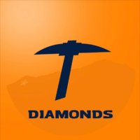 UTEP Diamonds Color Guard(@UTEPDiamonds) 's Twitter Profile Photo