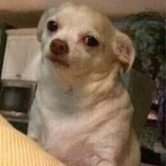 CarolManilla's profile picture. No sé, no me conozco