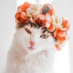 Yit_RM (@yidepre_amor) Twitter profile photo Yit_RM (@yidepre_amor) Twitter profile photo