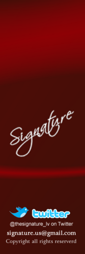 THE SIGNATURE STORE