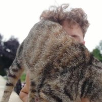 Thenaar (@thenaar2) 's Twitter Profile Photo Thenaar (@thenaar2) 's Twitter Profile Photo