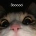 𝓑𝓐𝓓𝓔 (@badenimm) Twitter profile photo 𝓑𝓐𝓓𝓔 (@badenimm) Twitter profile photo