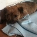 Jodie Coyle - @Jodsterxoxo - Twitter