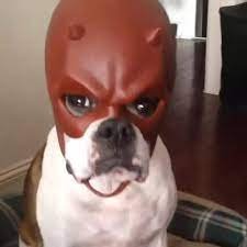 MXFam2's profile picture. Wemmbu RESPOND PLS I NEED THAT CLOAK