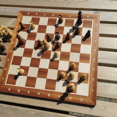 sigurdmo's profile picture. fo