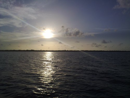 sg6232's profile picture. If you like CAIR, you would not like me.