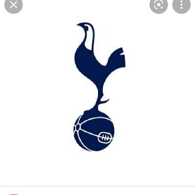 Spurs fan spurs amazing