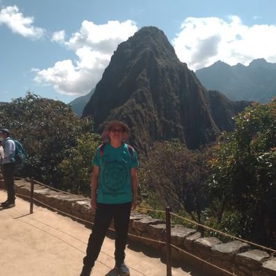 juliowayra's profile picture. Medical Doctor. Health management. From the land of the Incas and the Wankas