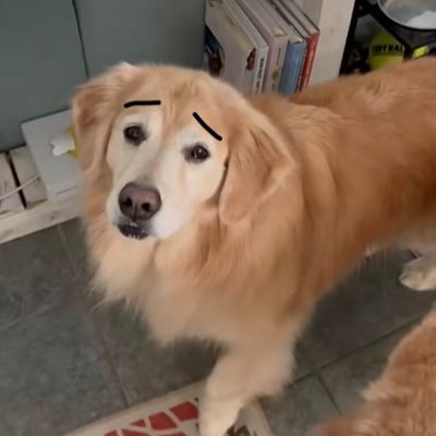 VenckusDovydas's profile picture. Foreign news editor, LRT