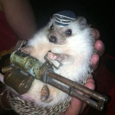 RealHedgehogGun's profile picture. 