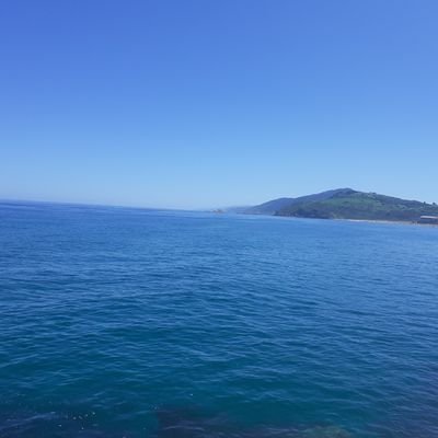 M1m8gila's profile picture. simplemente anti idiotas!!!