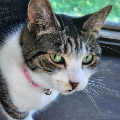 crazymama's profile picture. Mom, grandma, wife, sister, daughter, aunt, friend