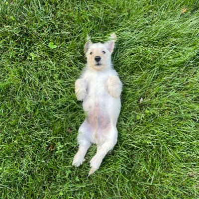 MarselT11's profile picture. 