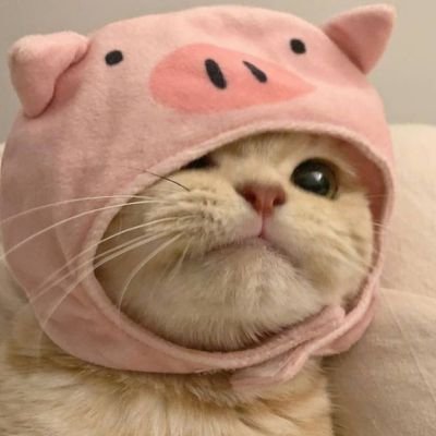 _flwrdilla_'s profile picture. gapyear²² ♡°•○☆ Bismillah jd Maba²³ ♡°•○☆ Linjur Soshum