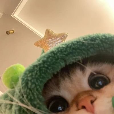 Alfarielさんのプロフィール画像