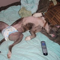 Nick englewrye (@nickenglewrye) 's Twitter Profile