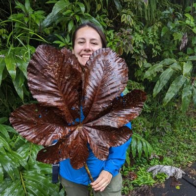 Ph.D Candidate, Botany @ UF 🇺🇲 - Grace John Lab🌿MSc 🇵🇷  
Interested in leaf functional anatomy
2023/24 president @ufsacnas. She/her 🇨🇴 #cienciacriolla