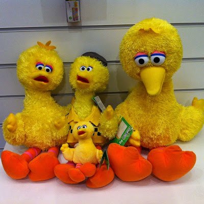 betteros88's profile picture. Only me