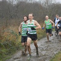 Joe Everitt (@everittjoe) 's Twitter Profile