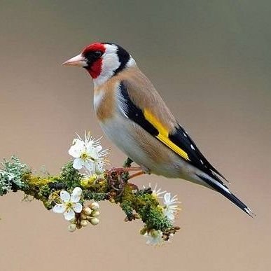 eugeniavilanova's profile picture. Me dedico al voluntariado.  Amante de la naturaleza, respetuosa con el medio ambiente. Tejedora de lanas, lectora y amante de los deportes.🏊🏻‍♂️
