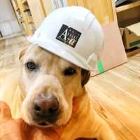富山市の工務店アシストプラスアルファ（株） (@assistplusalpha) Twitter profile photo