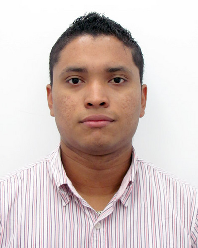 Ingeniero Especialista en Proyectos o eso dice en el cartón.