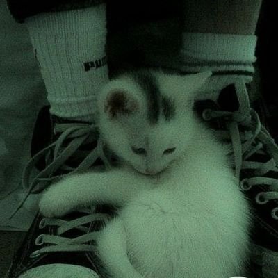 Fungus_ily's profile picture. she/her|5'4|16 y.o