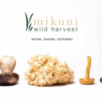 Mikuni Wild Harvest PEA(@mikuniwildpea) 's Twitter Profile Photo