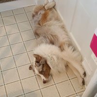 Alicia Hardy (@hardy699) 's Twitter Profile Photo