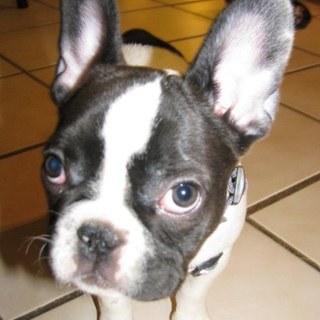 jenahoff's profile picture. 