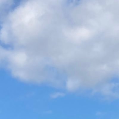 san_haya23's profile picture. 弐寺SP八段