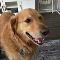 Ⓥ (@travispwalsh) 's Twitter Profile