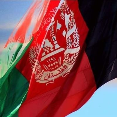 qurbankkhil's profile picture. 