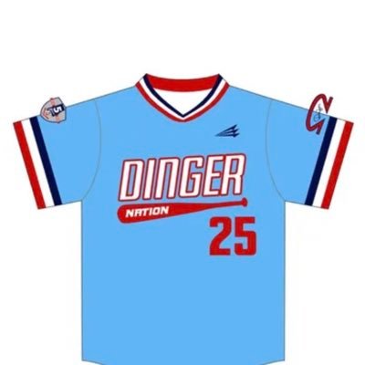 Dinger Nation 17U Baseball Coach